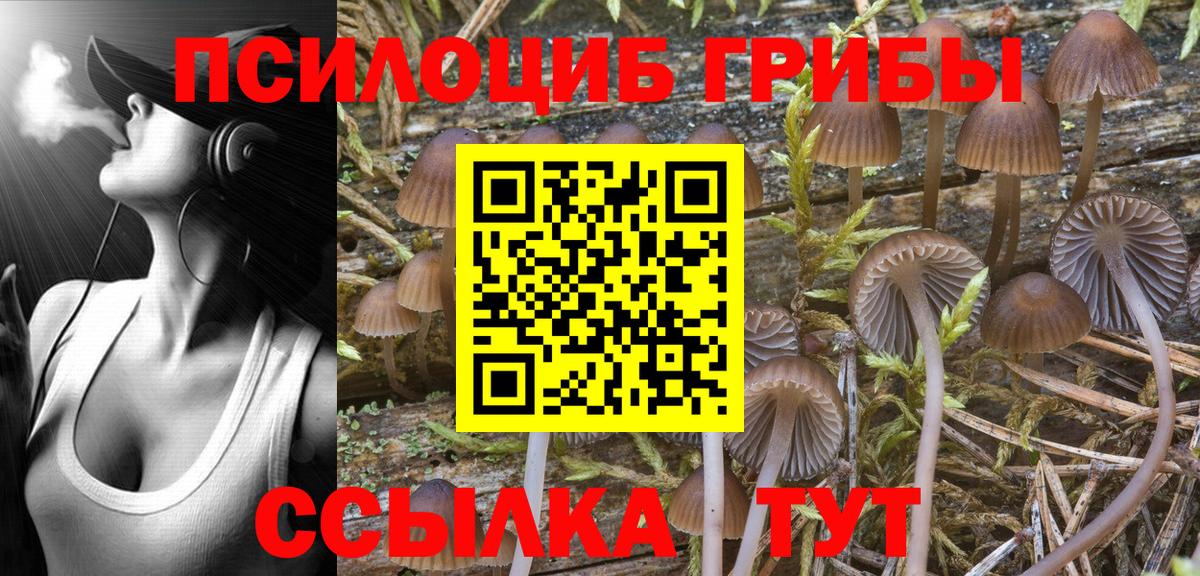 Советский  Псилоцибиновые грибы мицелий  Вход с VPN 